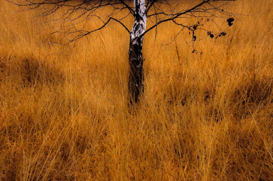 Материнство по-русски. Хватит уже читать про неплюющихся детей у французов!