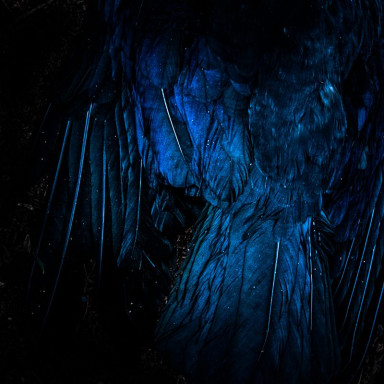 Про сына, слезы и любовь