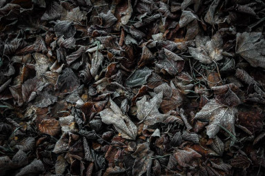 Несчастная дочь идеальной матери