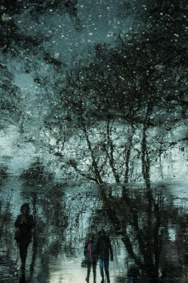 Матвей, муравьи и метафоры