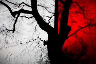 Группы смерти: кто виноват и что делать