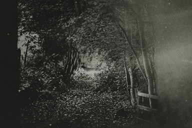 Родительский день