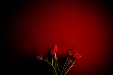 Уличная инсталляция 