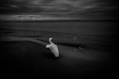 Колючие песчинки