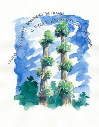 Когда ты - лето. 11 июня