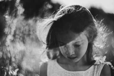 Вино из одуванчиков Евгении Валла