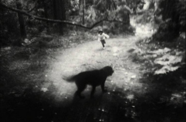 Боцман как удивительная вещь