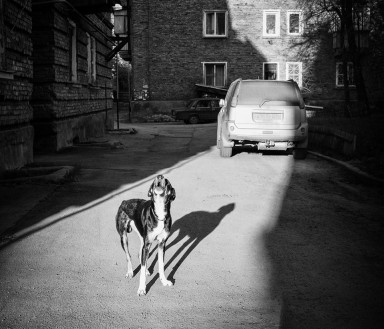 Падение кумира