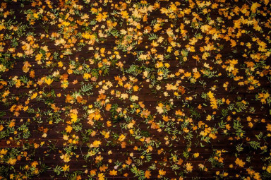 Чашечку кофе?