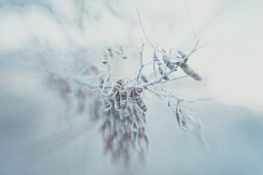 Жизнь и смерть. Заметки про пятилетку