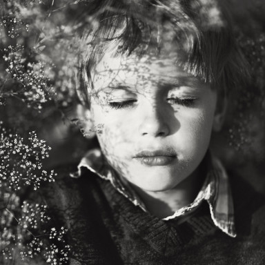 Матео и лепесткастый цветок