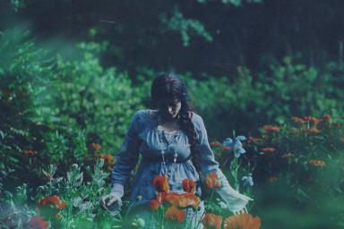 Ненастоящие родители