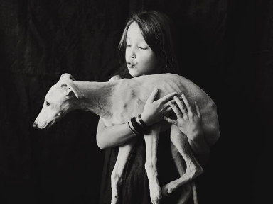 Добрые книги о собаках