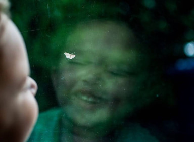 Насекомые. Подборка любопытных фактов и книг о насекомых для детей