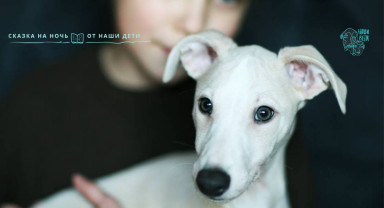 Назарчик и страшный сон