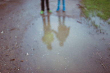 Кого отдать койоту?