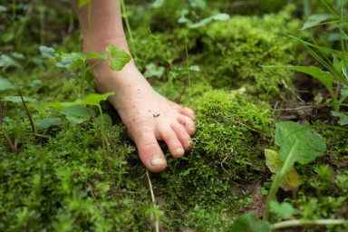 Лучший подарок