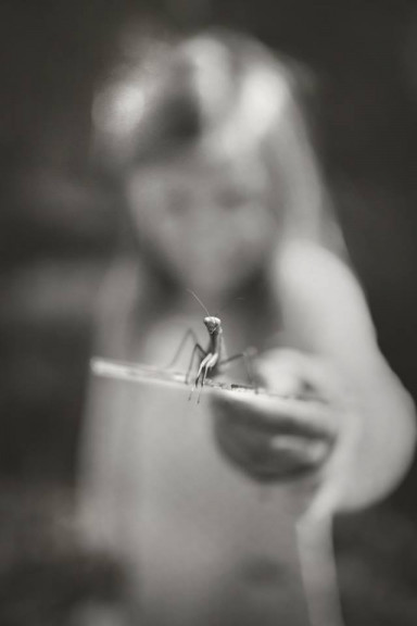 Лингвистические успехи