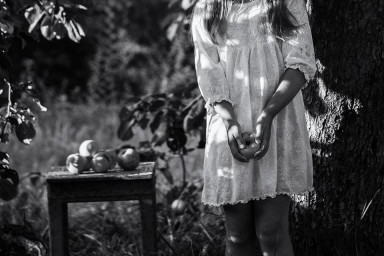 А яблоки выпадают из рук...