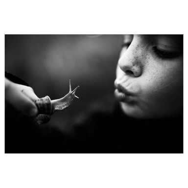 Хочу улитку