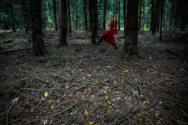 Сказки на ночь