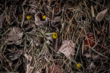 Осень, ты где?