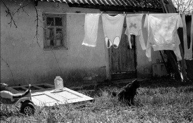 Любимчик Сашка