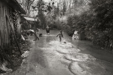 Не спасешь ты их, бесполезно