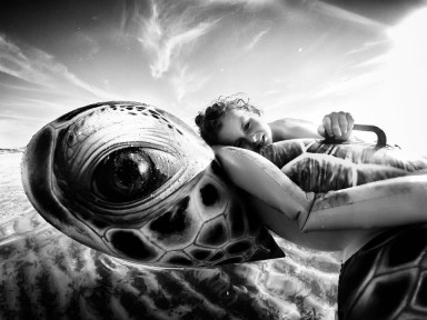 Просто черепаха