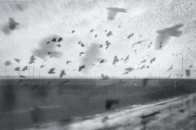 Закурившийся туман