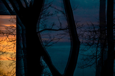 Ночь. Фотоаппарат. Девушка