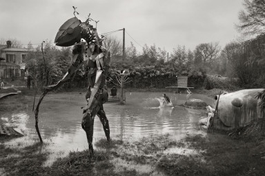 Трицератопс и армянин