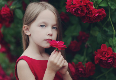 Цветики-семицветики