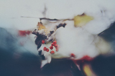 Вчера они уехали