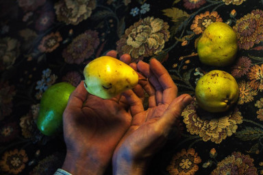 Способность удивляться