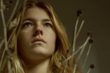 Корокипарисовый чай