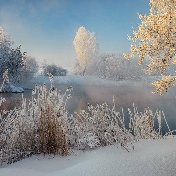 Счастливое детство