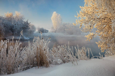 Счастливое детство