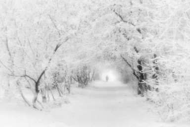 Разные первые января