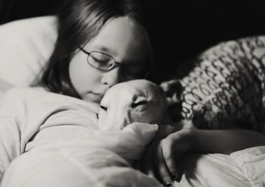 Бернский зенненхунд