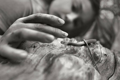 Кузя, футбол и дохлая муха