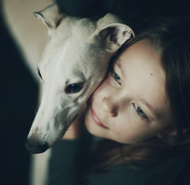 Друзья, заводите собак!