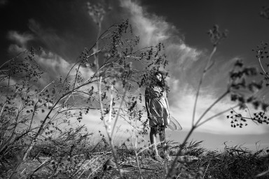 Персональный кипарис