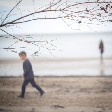 Пятый алимент