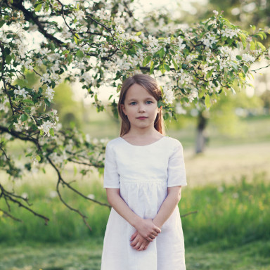 Рояль в кустах