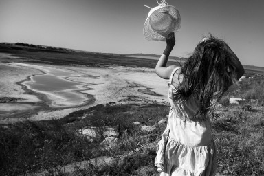 Созвездье Пса восходит в небеса