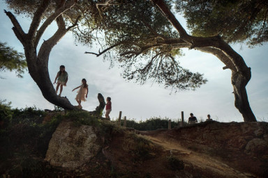 В дебрях Бумбы-Тумбы. Квест для дачи (сценарий)