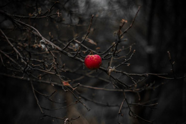 Сама виновата