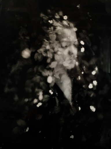 Почему ты не хочешь хорошего хозяина?