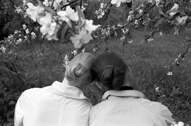 Как научить дочку не ждать принца на белом коне